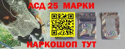 spice Новодвинск