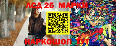 spice Новодвинск