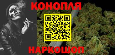 spice Новодвинск