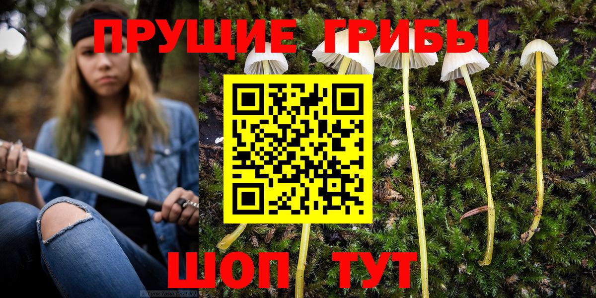 Псилоцибиновые грибы GOLDEN TEACHER Канск