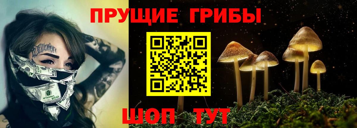 цены   Вход с VPN  Канск  Псилоцибиновые грибы MAGIC MUSHROOMS 